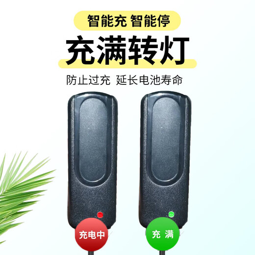 Chargeur de phare Bright General Weihui Original 8.4 V High-Power DC Intelligent 5.5 Port Charge accessoires universels GG-9925S8001625 Charger