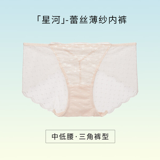 Huagoer Blue Label Japanese Lace Mid-Low-Wait Briefs Underwear Women WP3523 Tender Pink 1 L (165/95)