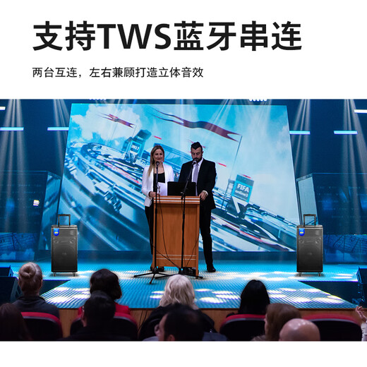 Philips (PHILIPS) SD170PLUS 15-inch square dance audio outdoor stage high-power mobile portable trolley speaker wireless Bluetooth high-volume karaoke amplification with dual microphones