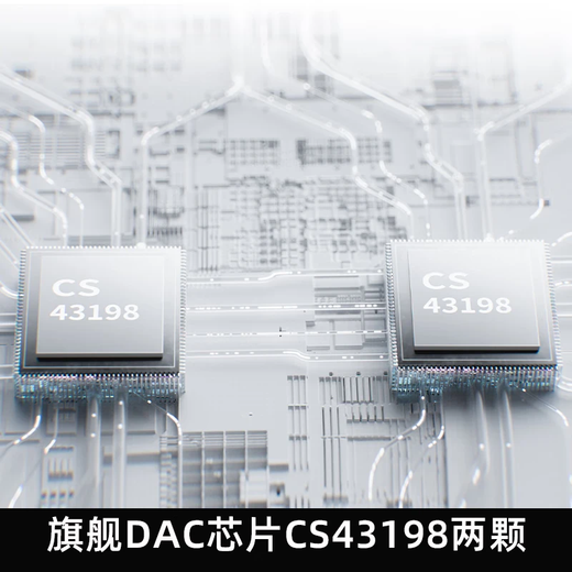 FiiO DM13 Portable HiFi Stereo 4.4 Balanced CD Player Music Player Walkman Supports Track Capture and Transcription Silver Standard Edition