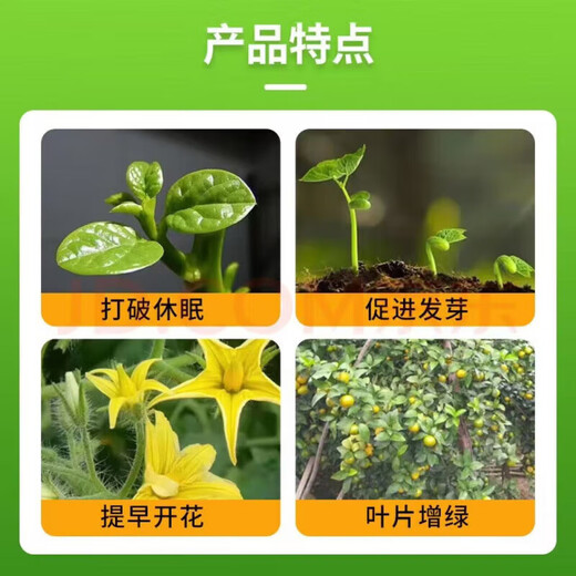 Zheng's Chemical 98% Sodium Nitrophenolate Regulates Growth, Increases Yield, and Promotes Fruit Growth Growth Regulator 1KG 1kg