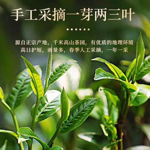 Eine Tasse duftender Oolong -Tee Chaozhou Single Pine Entenscheiße Duft 250 g Geschenkbox Tea Phoenix Single Cong It Yourself Bulk Geschenk