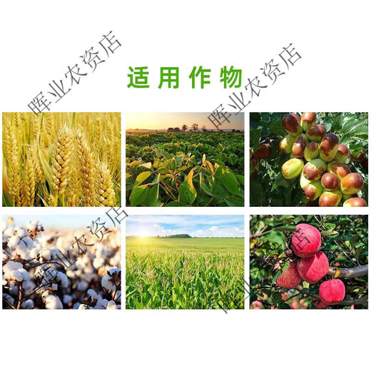 Shanggebaoying 20% phenylpeptide amino acid citrus and mango flower and fruit preservation and flower bud differentiation regulator pesticide 500g*2 bottles