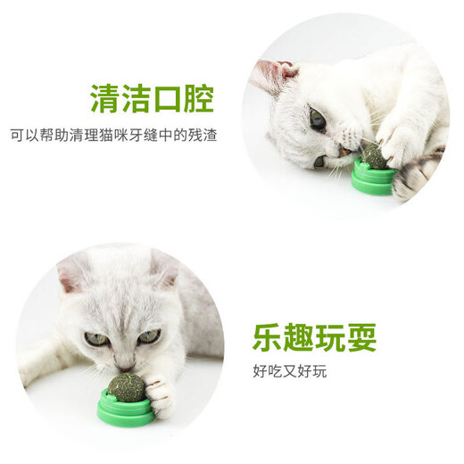 Crazy owner cat toy catnip ball molar stick makes the cat rotate and lick for pleasure, self-pleasure artifact relieves boredom, grinds teeth and gnaws