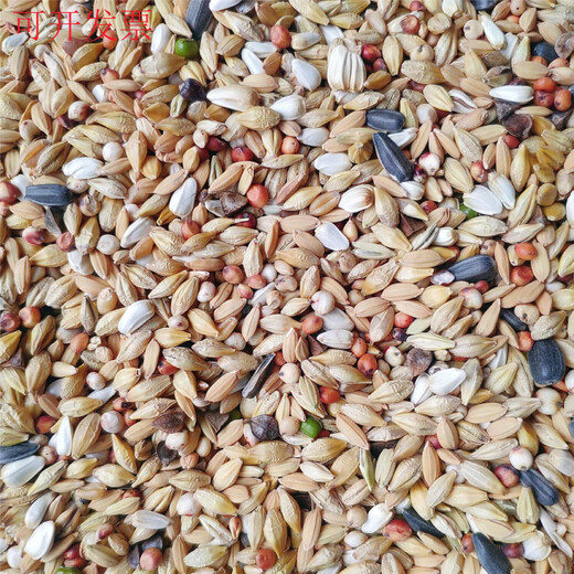 Pigeon food Yipinhong clear pigeon food 45Jin Jin is equal to 0.5kg loaded pigeon food carrier pigeon racing pigeon pigeon food Jiangsu, Zhejiang, Shanghai and Anhui
