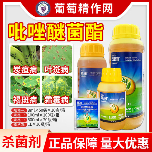 BASF Germany BASF Kairun pyraclostrobin anthrax soybean leaf spot grape downy mildew pesticide special fungicide 8ml