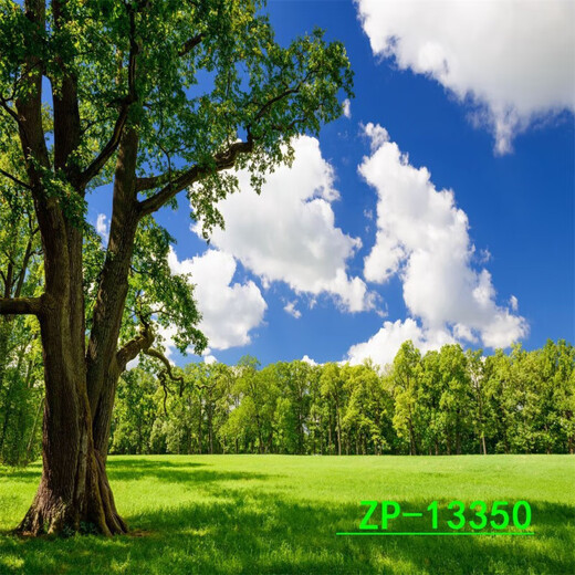 
LUODABAN (LUODABAN) Internet celebrity live background cloth 3D three-dimensional landscape painting movable high-definition live room outdoor interior background wall ZP-13556 2.5 meters wide - 2.5 meters high (hook type)