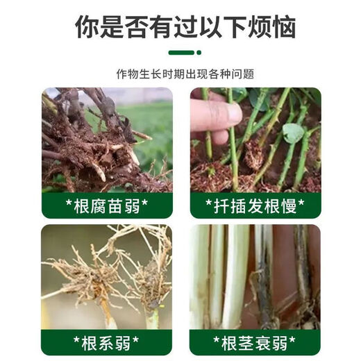 Powerful Rooting Powder Rapid Rooting and Seedling Strengthening Agent Rooting Powder Rapid Rooting Powerful Rooting Liquid Rooting Powder for Transplanting Rooting Powder 1 Jin Jin is equal to 0.5 kg, 1 pack