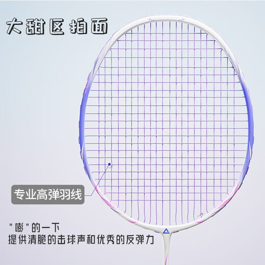 匹克羽毛球拍专业级全碳素超轻耐打双拍碳纤维球拍训练比赛对拍机械姬