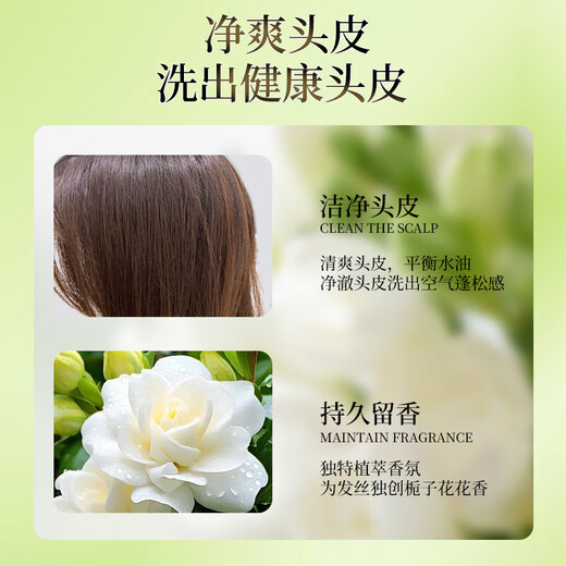 栀子花香氛花萃蓬松净发香氛洗发水持久留香清爽大容量洗头膏推荐 栀子花洗发水800ml*1瓶