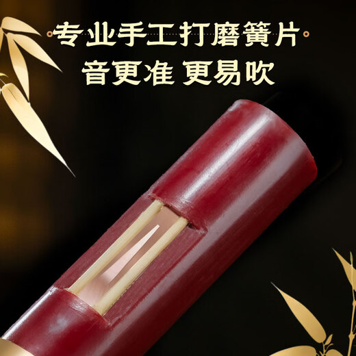 金孔雀葫芦丝c调小学生成年人初学者降b调血檀红木专业演奏级旗舰店乐器 红木管采花图【标准F调】+赠品