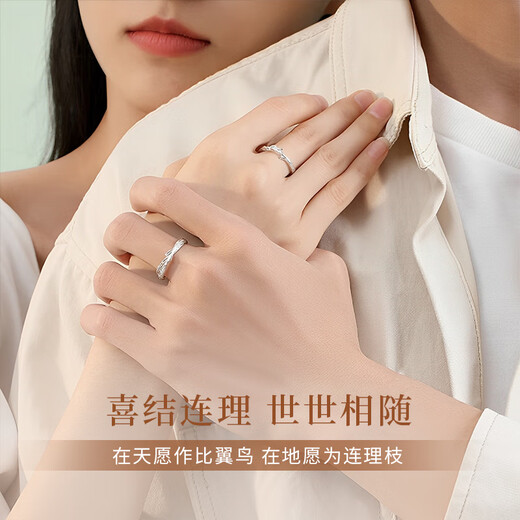 ALLOVE Lian Lizhi Couple Ring Men's and Women's Sterling Silver Proposal Ring Birthday Gift for Girlfriend and Wife Practical Wedding Gift
