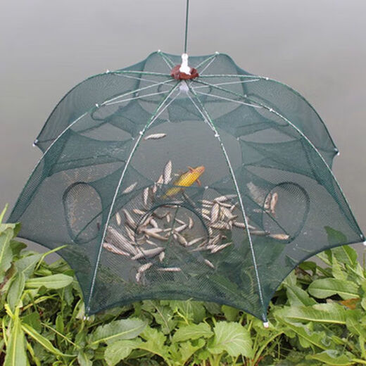 Fishing source fish net fishing cage fishing net fishing small fish eel catching artifact floor net fish cage hand throwing net shrimp cage loach automatic luminous thickening 6 holes + 1 bait + accessories