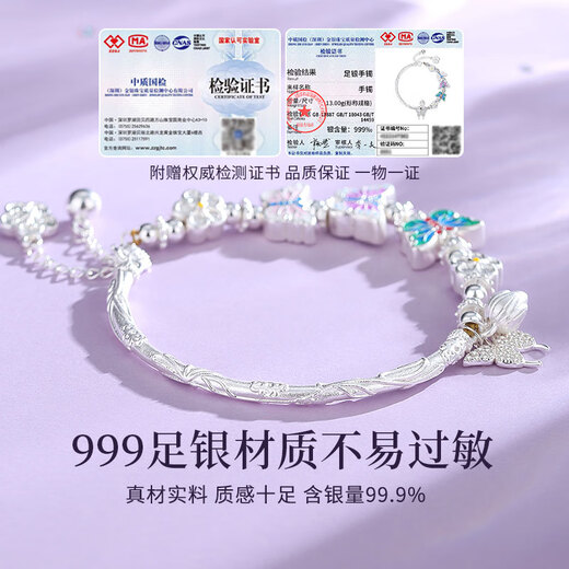 Saint-Jacques Butterfly Half Chain Half Bracelet Sterling Silver Bracelet Women's Enamel Bracelet Silver Jewelry Bracelet Birthday Gift for Girlfriend