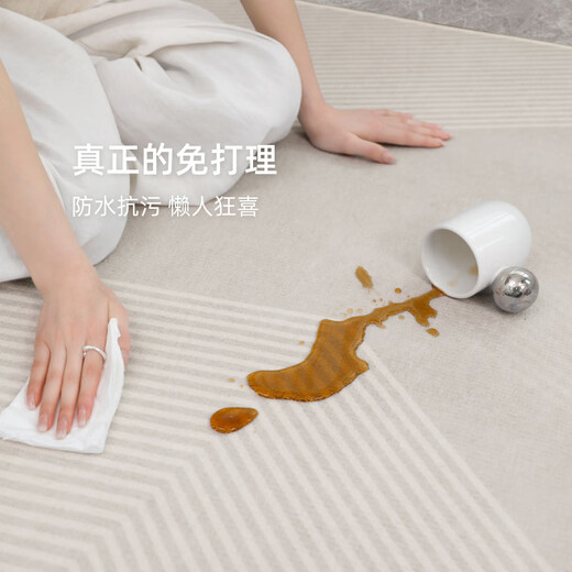 像素地毯客厅2025新款轻奢感沙发地垫免洗可擦家用防水卧室厚天津 清蔷-13566 200cm*340cm [柔软好打理]