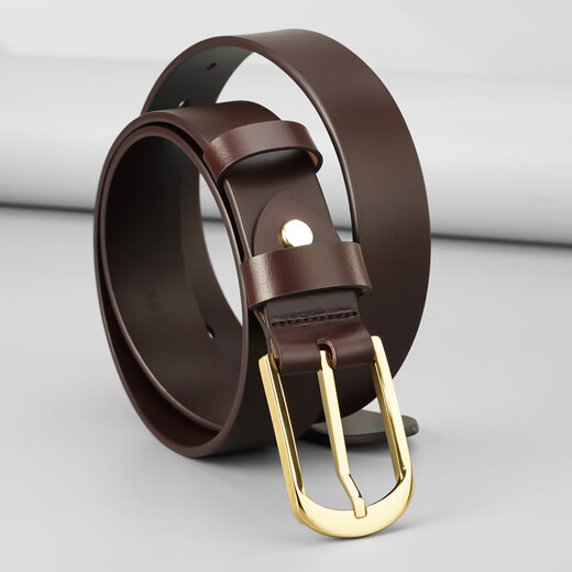 牛当家不锈钢扣皮带男针扣真皮腰带头层牛皮商务百搭高档裤带 金色扣3291咖色 125cm 39-40码/腰围3.2-3.3尺