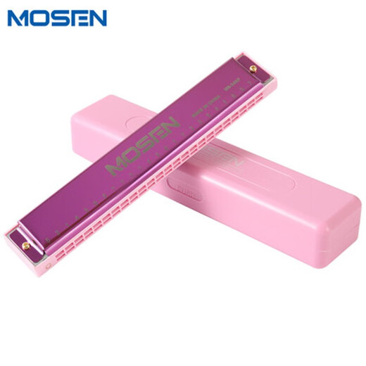 Morson Mundharmonica für Kinder und Anfänger, polyphonische 24-Loch