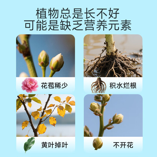 Dewoduo plant regenerator nutrient solution universal 12-pack hydroponic flower fertilizer green radish green plant rooting liquid