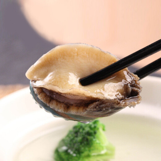 One piece of fresh small abalone (18-20 pieces/500g)