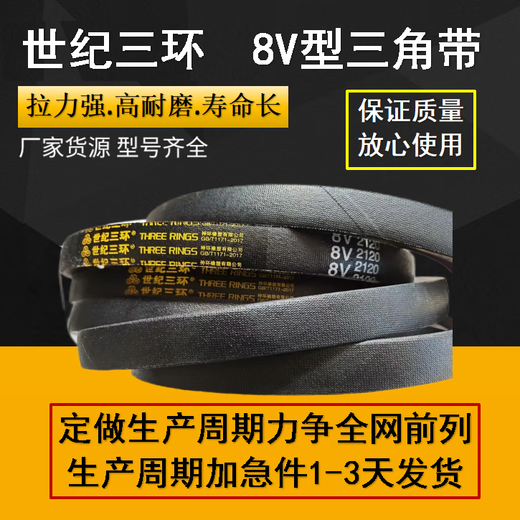 三力士（SANLUX）三角带8V2430 25N6172La窄V传动皮带抗静电耐油热 8V2430 25N6172La十条 世纪三环