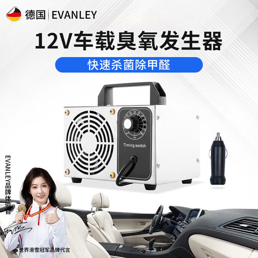 EVANLEY German ozone generator sterilizer household air purifier industrial food factory car sterilization and formaldehyde removal 12V car 10g (cigarette lighter interface)