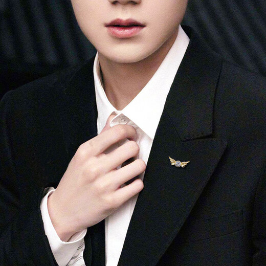 Angel Wings Men's Brooch Light Luxury High-end Corsage Simple Suit Decoration Lapel Pin Creative Pin Badge Accessories Gold One