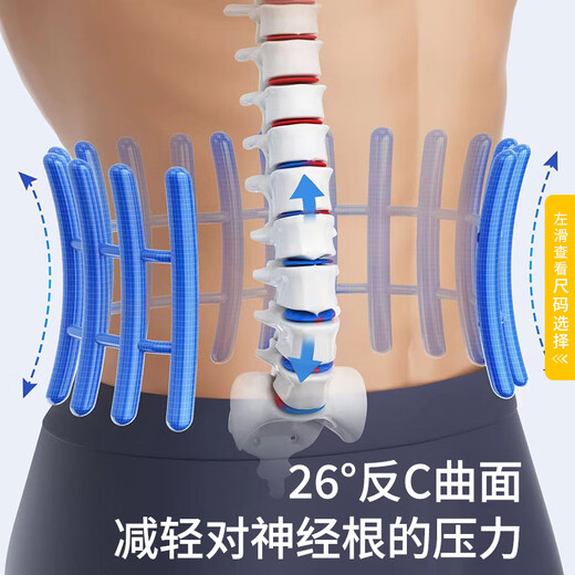 WSPEN德国医用护腰带腰间盘突出神器腰肌劳损腰脱膨出透气久坐腰带男女 L码:2尺6≤腰围＜3尺3