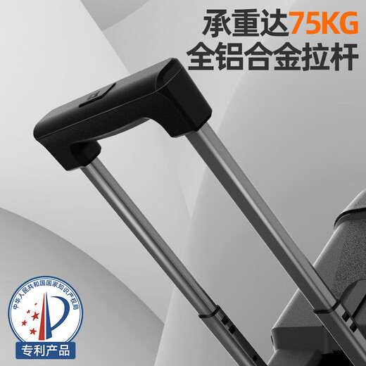 SANSUI A12 outdoor karaoke dedicated audio high-power heavy bass square dance audio portable smart speaker with microphone 12-inch electric acoustic guitar folk instrument speaker