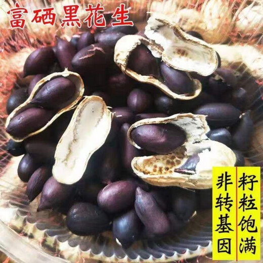Black peanut seeds, sown in spring and summer, purple and black peanut seeds, black seed peanuts, original peanuts for field use, net weight in shell, Jin Jin equals 0.5 kilograms, 1000 grams