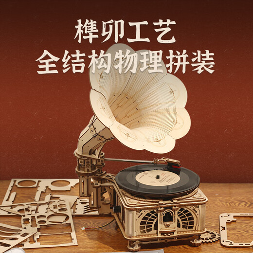ROKR vinyl gramophone retro record player birthday gift for girls and boys diy desktop ornaments building block assembly model