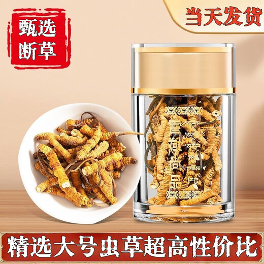 冬虫夏草断草断虫草高海拔虫草断草正宗冬虫夏草滋补品泡酒料药材 西藏那曲大断草100克装送12克