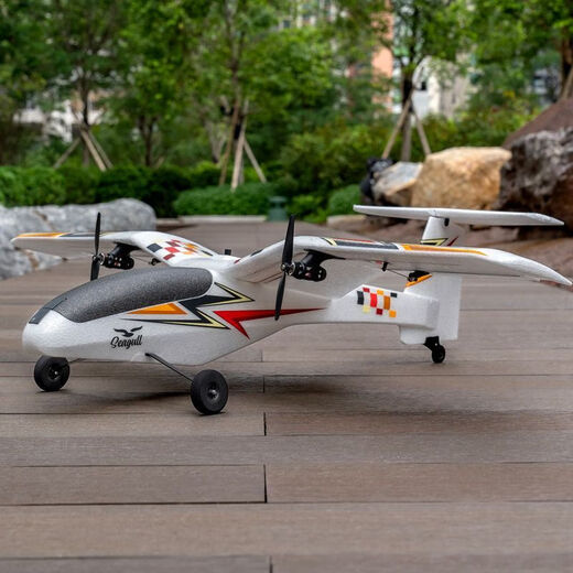 Aircraft Sawang Seagull Bionic bionic oiseau d'oiseau d'oiseau d'air Hélicoptère Hélicoptère Plan de parc à ailes fixes à double moteur bon