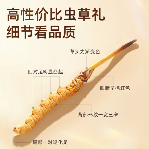 紫蓝花海冬虫夏草 3-4根/g 1g 新干高品质虫草滋补品尝鲜【健康礼盒】