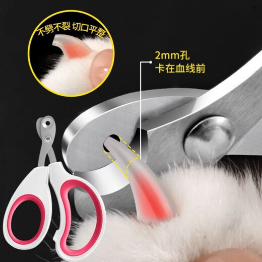 XMSJ five-piece nail clipping tool set, comb, comb, remove loose hair, massage comb, dog hair brush, special corgi needle comb supplies, C 5-piece pet care set, 5-piece care set, upgrade