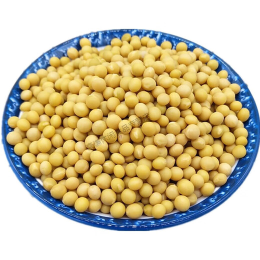 东北新货黄豆芽专用690极小粒黄豆纳豆小黄金豆 1斤装