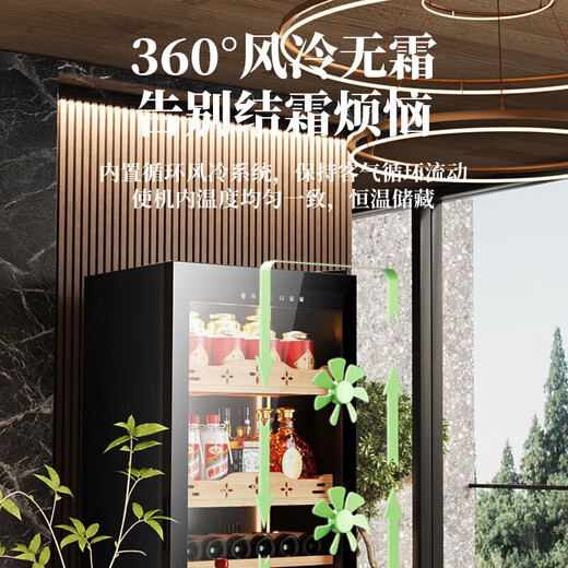 Bai Kailun red wine cabinet air-cooled frost-free electronic temperature-controlled single-door constant temperature wine cabinet first-class energy efficiency office home wine tea cabinet refrigerated refrigerator thin fresh-keeping cabinet freezer fixed frequency丨dual temperature丨red wine tea丨 256L thin