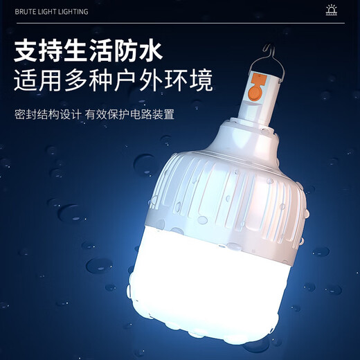 Biuyum led rechargeable light bulb outdoor power outage emergency lighting portable hanging light wireless plug-in-free super long battery life H160 100mm
