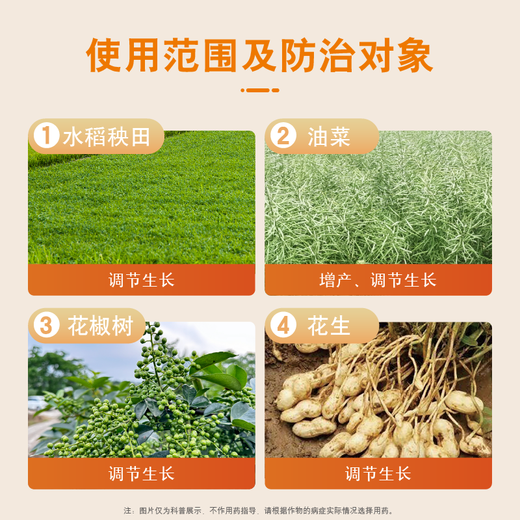 Guoguang Aizhuang Uniconazole Controls Leggy Growth, Prevents Lodging, Promotes Tillering and Dwarfing Plants, Peanut, Rape, and Pepper Official Authentic 50g