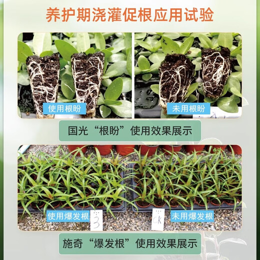 Guoguang Genpan indolinacetic acid rooting agent rooting liquid cutting plant rooting and seedling strengthening agent liquid plant growth regulator Genpan 200ml*20 bottles/box