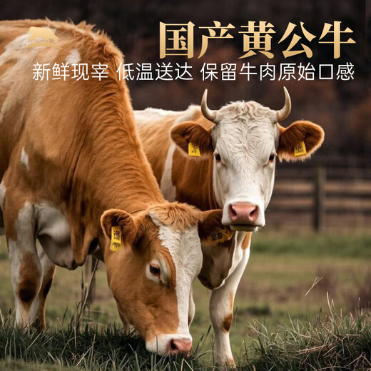 Niu Xian Zun Domestic Ox Raw Cut Beef Roll Net Weight 2.4 Jin Jin equals 0.5 kg (6 packs) Fei Niu No. 1 Hot Pot Ingredients Fresh Beef