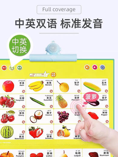 幼儿童发声点读学习书宝宝早教机神器充电玩具拼音唐诗中英文 42面-双语点读早教发声书-充电款