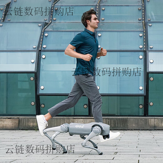 Yushu Voice Ai Modèle robot chien électronique chien incarné d'intelligence accompagnement bionic compagne robot quatre go2-pro + télécommande