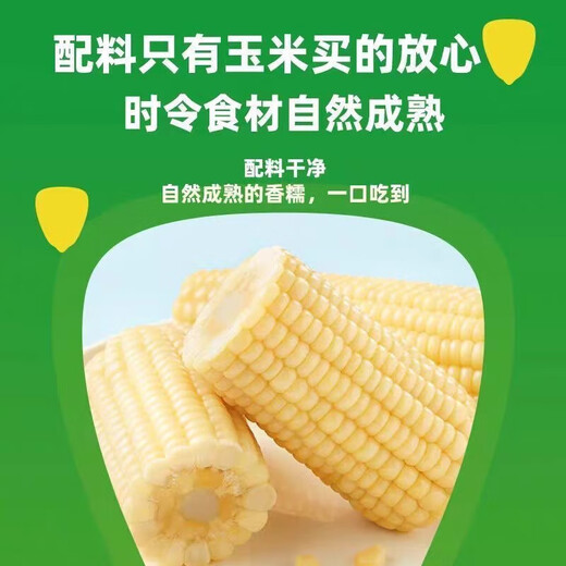 2025 First Crop Northeast White Waxy Corn Vacuum Packaging Corn Sections Coarse Grain Breakfast Meal Replacement 110g-140g/Section Rose Gold Premium White Waxy Corn 6 Sections