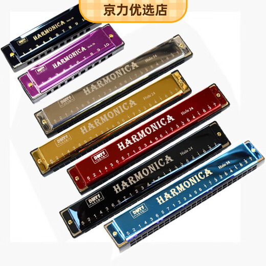 天鹅（SWAN）24孔C调口琴儿童乐器10孔布鲁斯初学者成人口风琴玩具118 24孔复音口琴黑