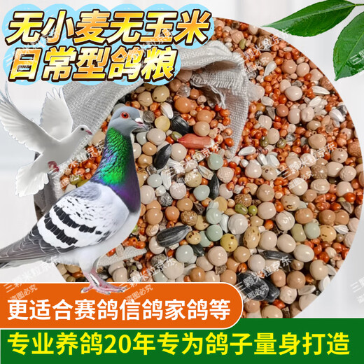 New pigeon food 20 Jin Jin is equal to 0.5 kg. Corn-free pigeon food with corn pigeon feed racing nutrition pigeon food for adult and young pigeons 5 Jin Jin is equal to 0.5 kg. No wheat and corn high-quality pigeon food 20 Jin Jin is equal to 0.5 kg.