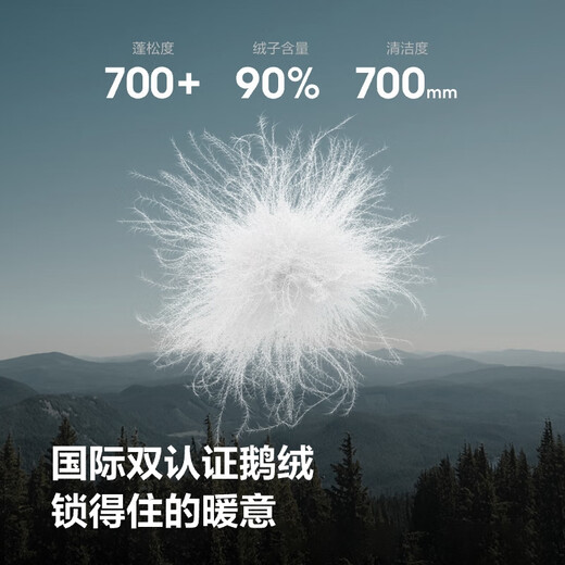 Bosideng 25th Autumn Goose Down Down Jacket Men's Slim Short Casual Lightweight Stand Collar Gift Jacket