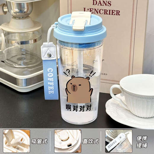 Chengliu Cartoon Kapibala Wasserbecher tragbar im Sommer Neukessel für Männer und Frauen Strohhalm mit großer Kapazität mit hoher Value -Grün - Lilie des Valley PC Water Cup - HST3893 Capybara + Matching PC