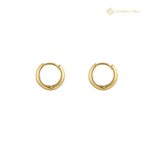 CHOMELTINEE Gold Pigment Hoop Earrings Women's Light Luxury High-Quality Niche Temperament Earrings 2025 New Minimalist Metal Earrings Gold Pigment Hoop Earrings