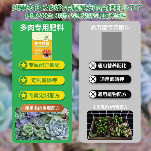 Succulent fertilizer special fertilizer nutrition granules for household flower potting nitrogen, phosphorus and potassium compound long-acting controlled-release fertilizer slow-release fertilizer 1 pack individually packaged
