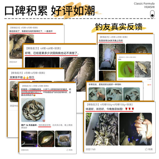 Yiyi Huashi Gundam No. 2 Fishing Bait Formula Big Red Crucian Carp Deep Sea Elements Wild Fishing Fishing Fragrance Gundam No. 2 120g/pack